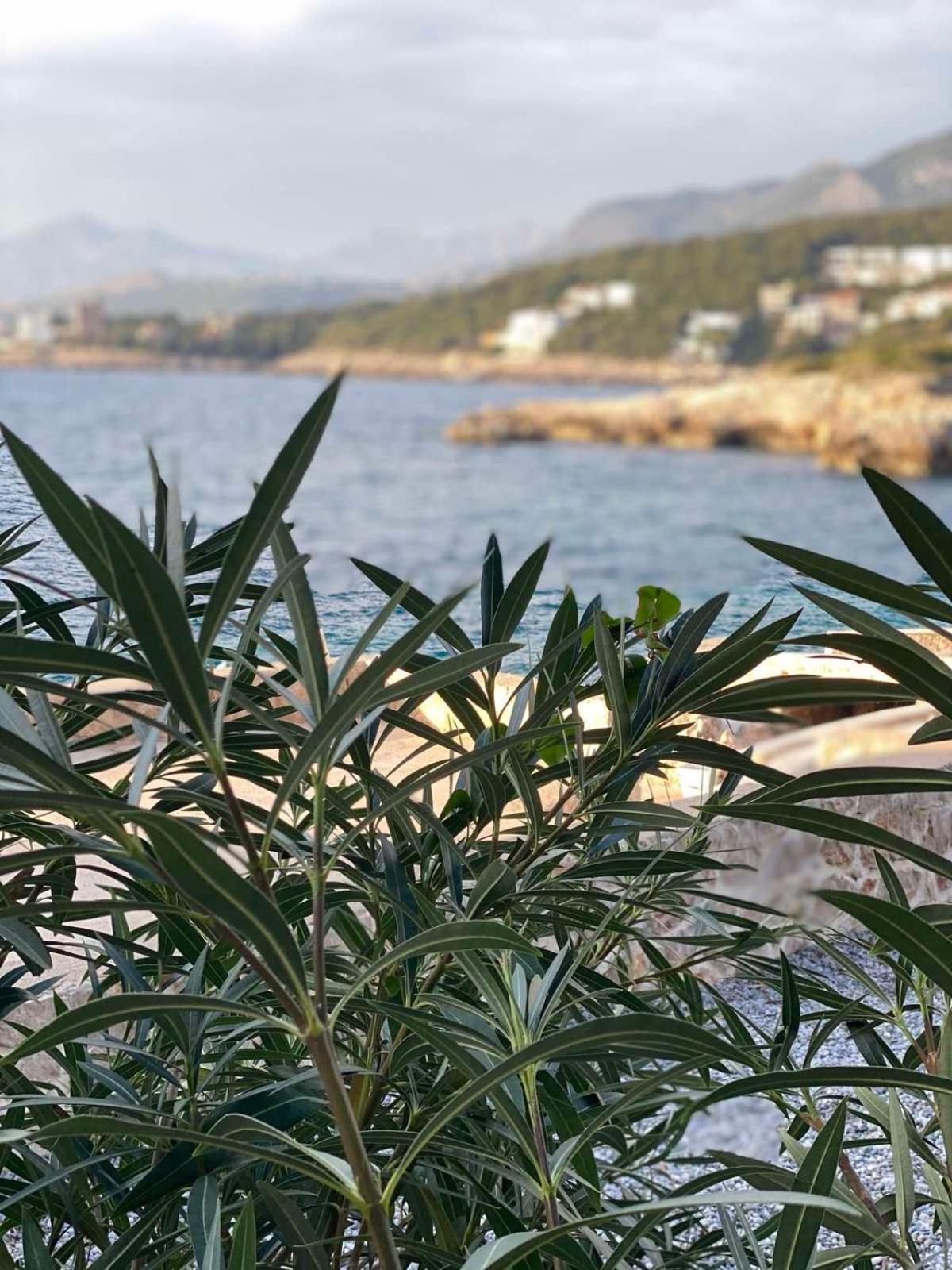 Seastar Eco Villa Утеха Екстериор снимка